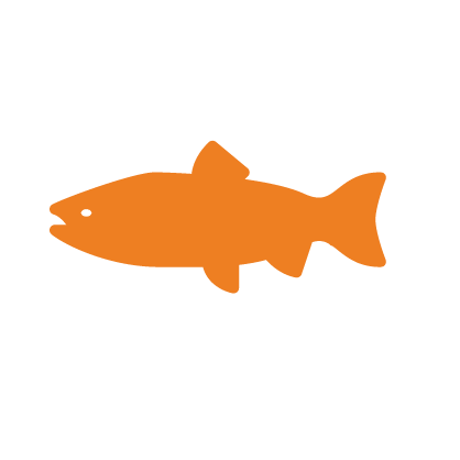 Salmon-icon.png#asset:5165
