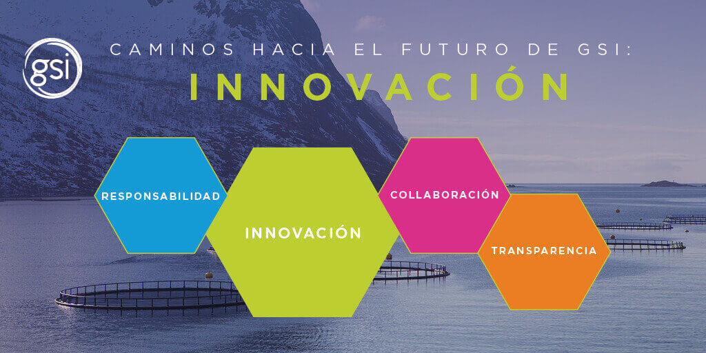Gsi Pathways To The Future Innovation Es
