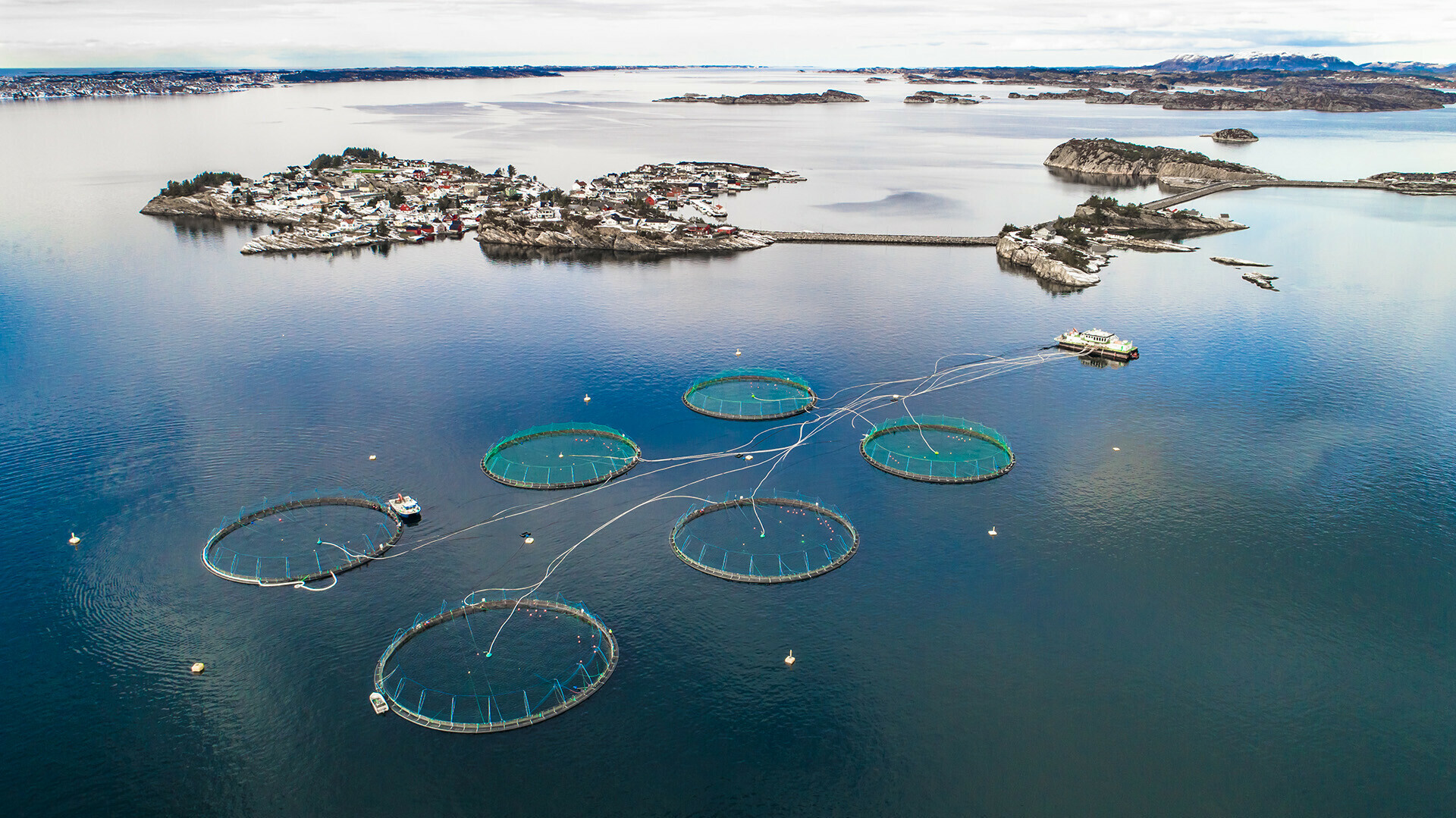 A salmon farm with six pens off the coast of Norway.