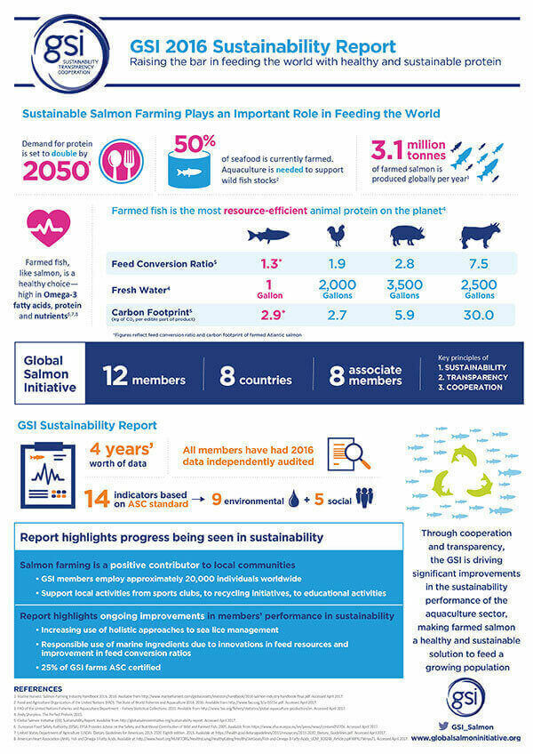 Gsi Sustainability Report 2016 Infographic