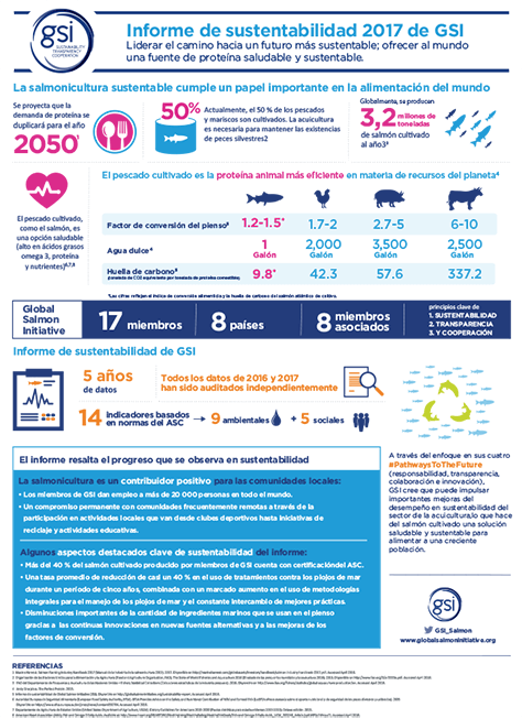 Gsi Sustainability Report Infographic Spanish 2017
