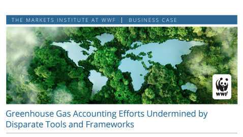 Gsi Case Study - Greenhouse Gas Accounting Efforts Undermined by Desparate Tools and Frameworks