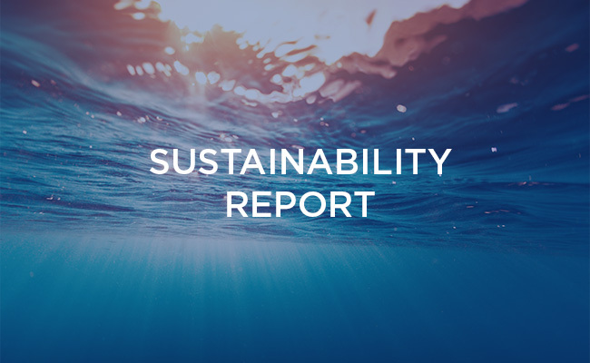 Sustainability Report Web Thumbnail