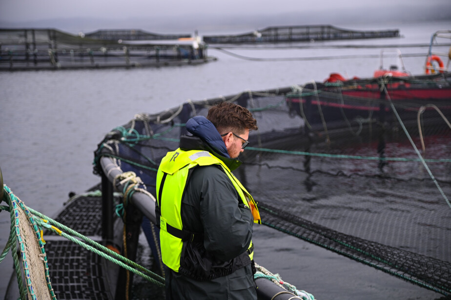 Member of the GSI Health and Welfare Task Force looking into a salmon pen