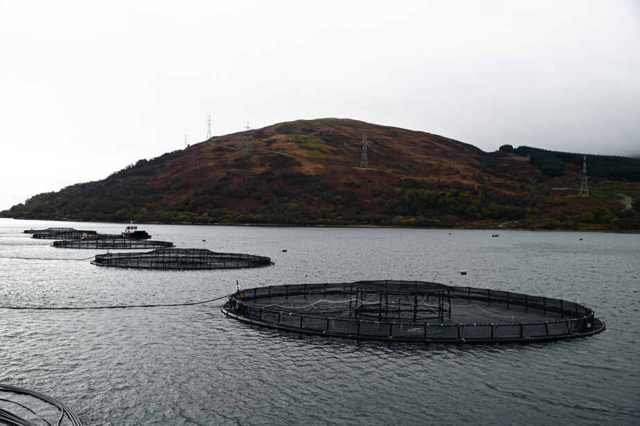 Four salmon farm pens with hills in the backdrop