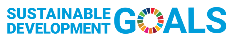 E SDG logo without UN emblem horizontal WEB png