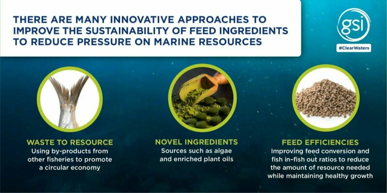 GSI Clear Waters Marine Ingredients
