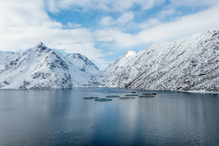 Una remota granja de salmón noruega rodeada de montañas cubiertas de nieve.