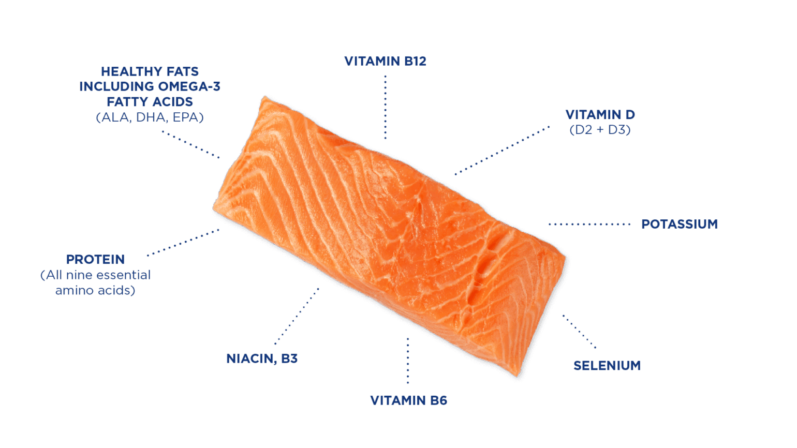 Salmon Graphic nutrients ENGLISH