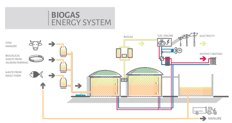 Biogas Energy System