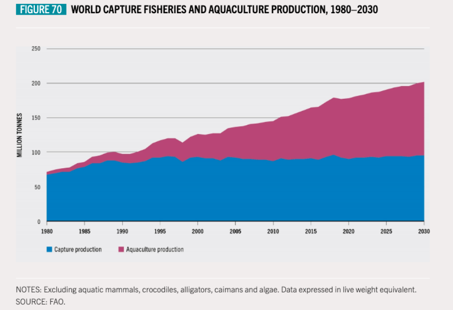 World Capture Fisheries and Aquaculture Production